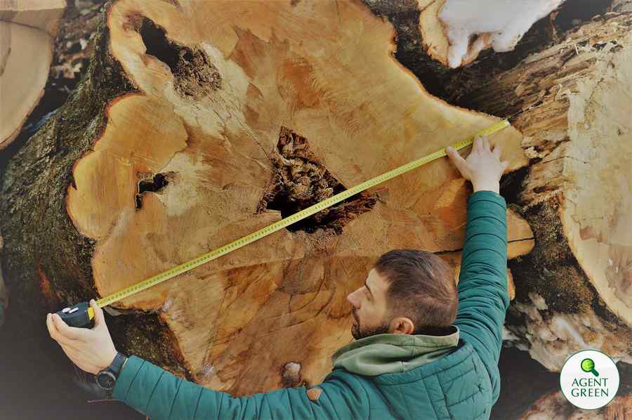 Dezastru la Sarmizegetusa Regia (Video)