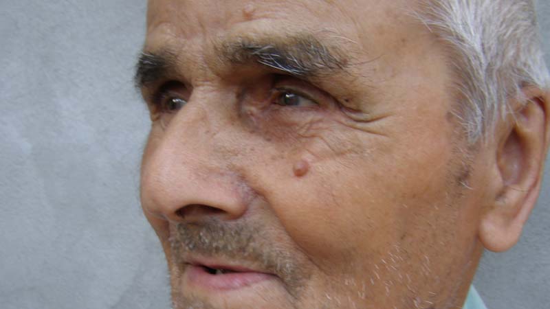 „Ne-ar trebui intelectuali cinstiţi care să ducă ţara mai departe”