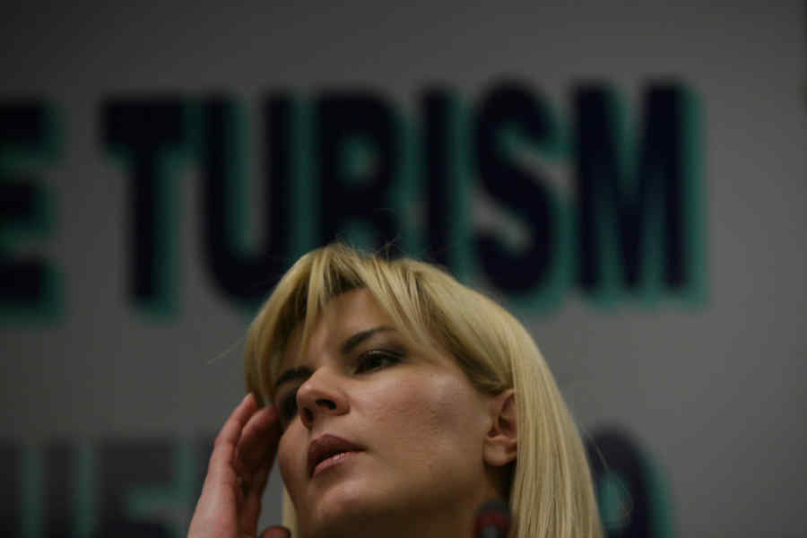 Elena Udrea e în spatele unui proiect de miliarde de la Cluj