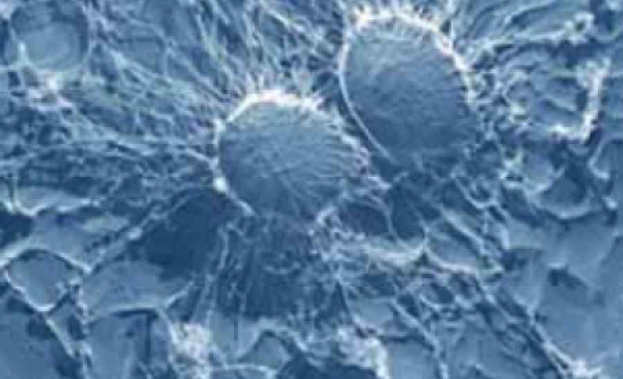 De ce unele cancere nu mai răspund la tratament