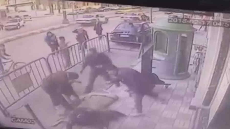 Copil căzut de la etaj, salvat de un polițist (imagini incredibile)