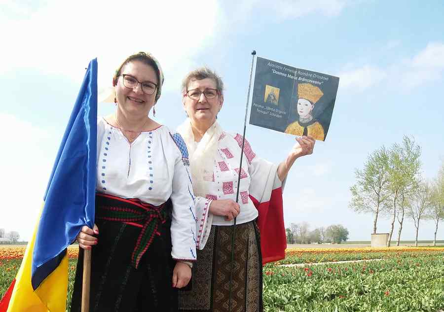 Laleaua „Doamna Maria Brâncoveanu“