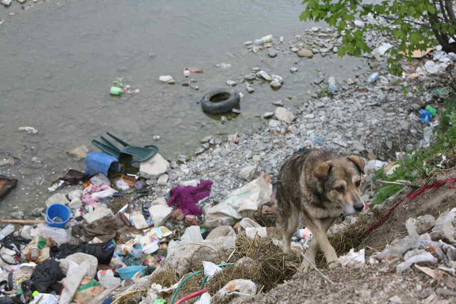 CE cere României să rezolve problema poluării și a deșeurilor