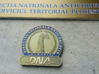 Daniel Dragomir DNA
