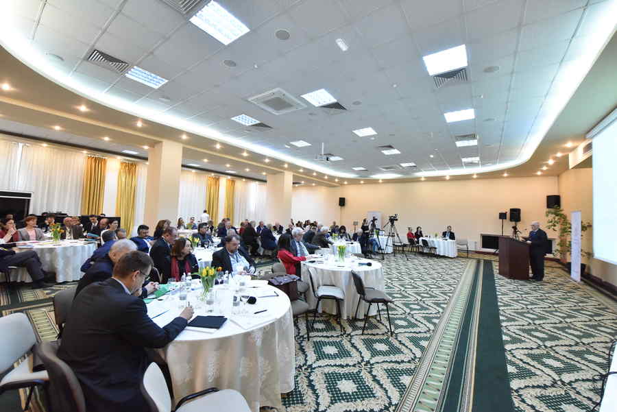 Formarea unei tradiții: Dezbaterile de la Sinaia