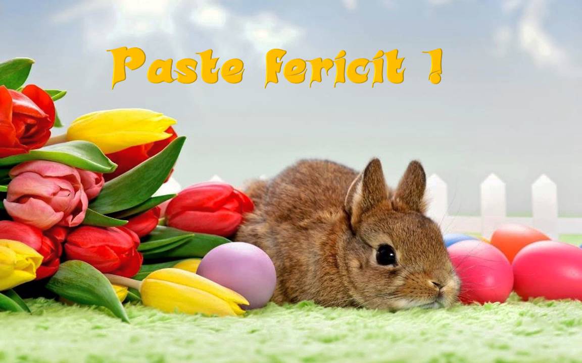 Hristos a înviat!