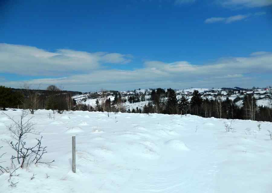 Pământ furat cu acte false la Brebu Nou