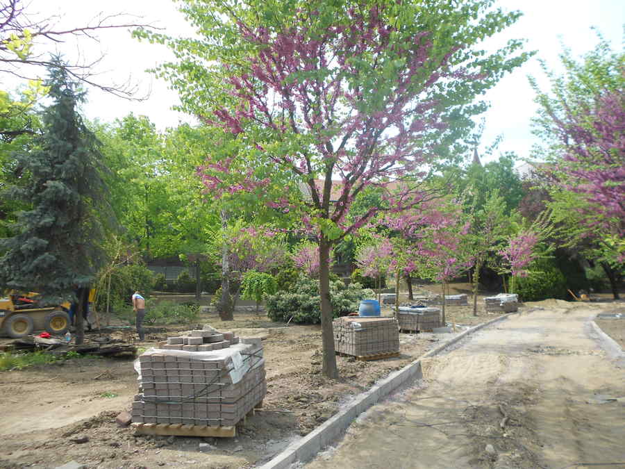 Cine vrea naționalizarea proprietății private? 