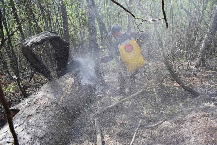 Incendiul din Domogled s-a extins