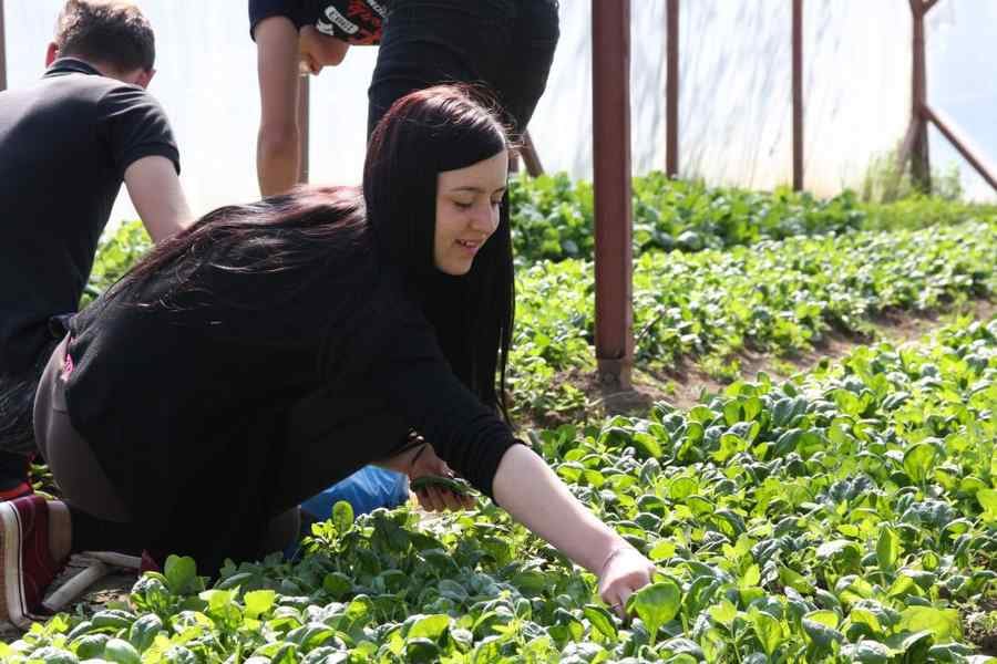 Învățământul profesional se va schimba total