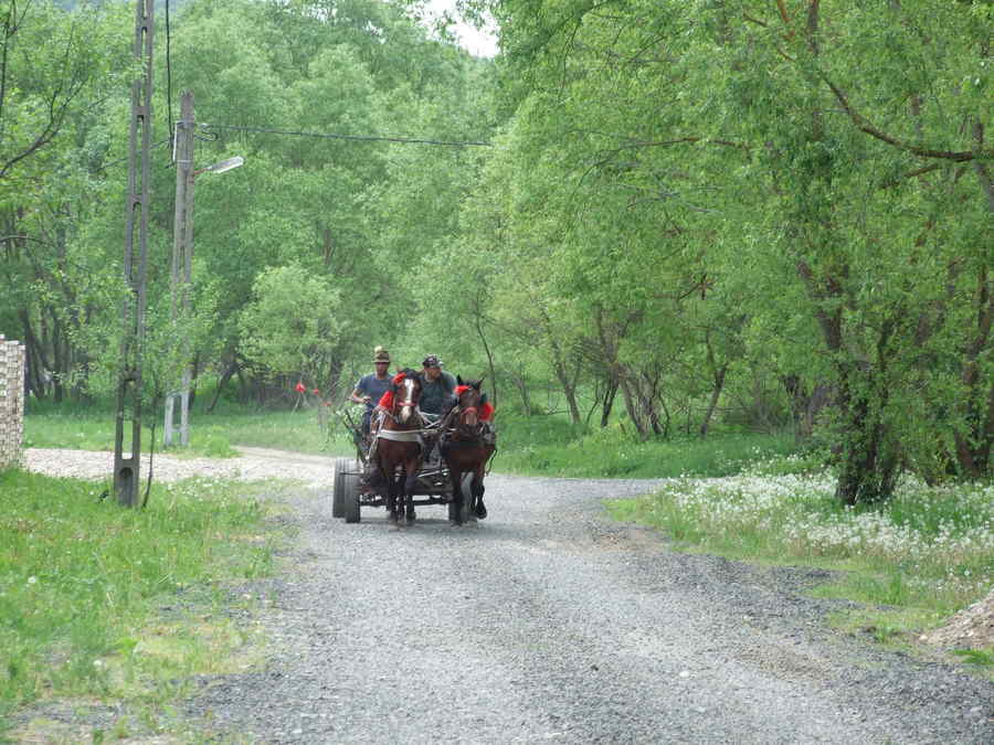 Minuni, fantome și locuri tămăduitoare