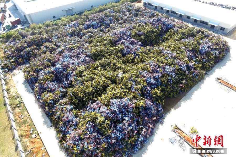 (VIDEO) Uriașele cimitire de biciclete din China