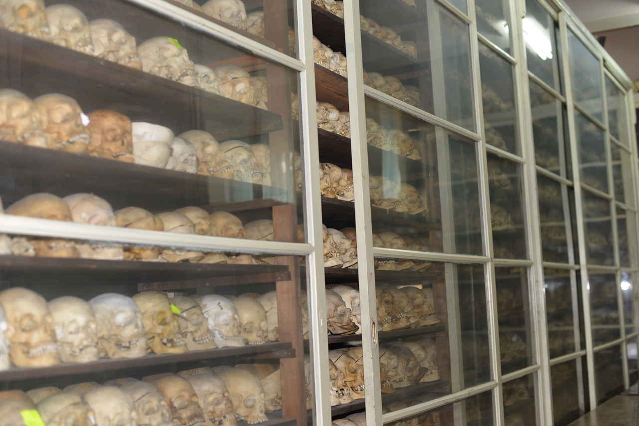 Colecția Francisc Reiner: Misterul craniilor din vitrină