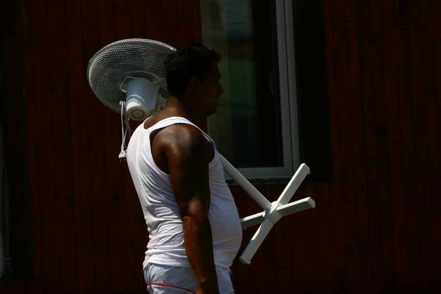 Cod portocaliu de caniculă