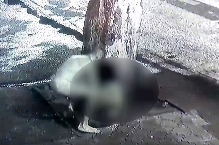 Scenă cutremurătoare pe un bulevard din Capitală (VIDEO)