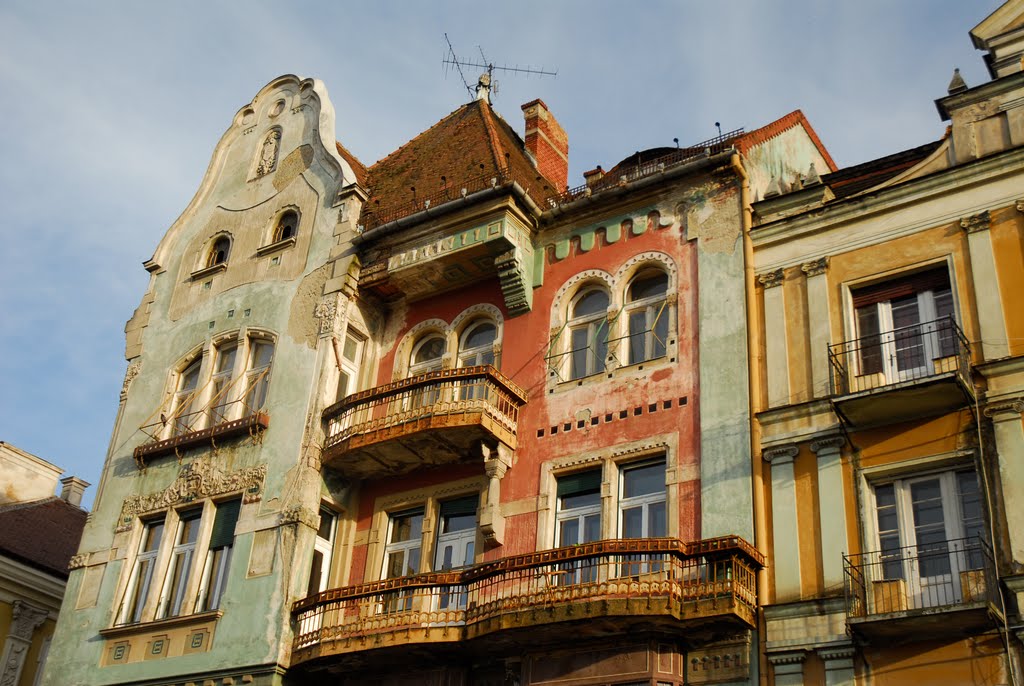 Rebeli politici ai pandemiei