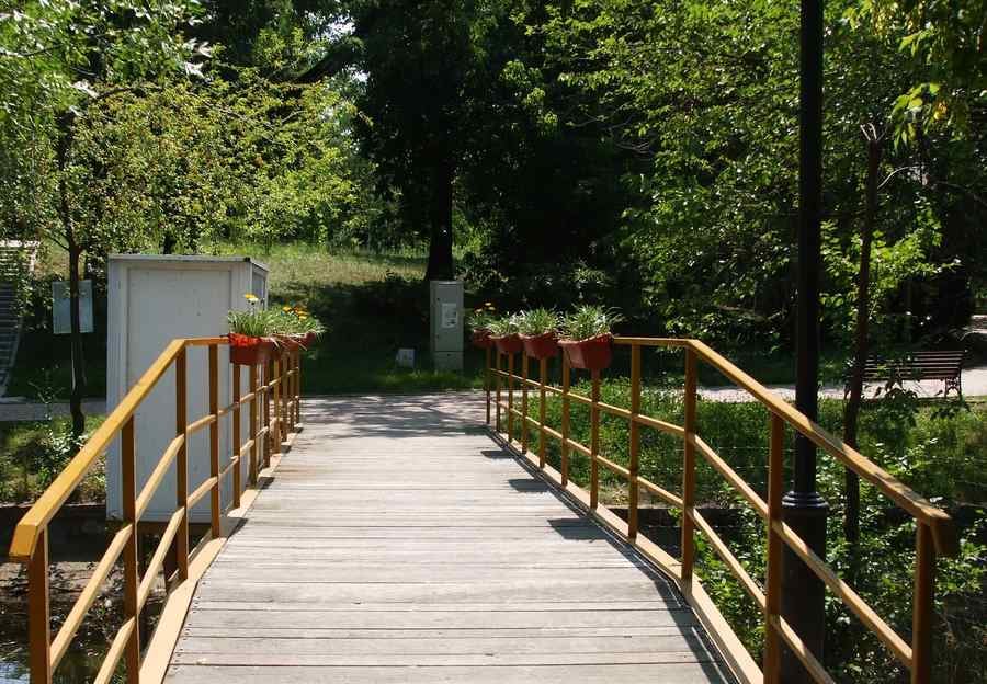 Descoperire în Parcul Bordei din Capitală