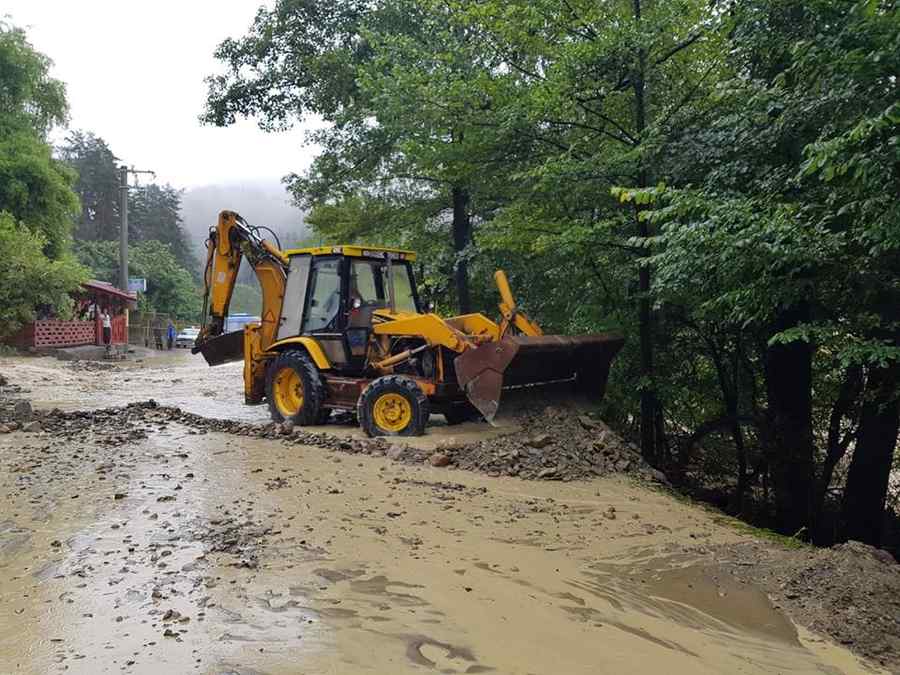 14 persoane surprinse de ape (video)