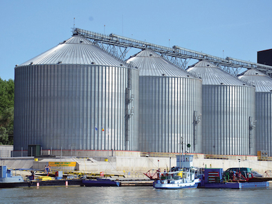 Cea mai mare fermă din România ajunge la arabi