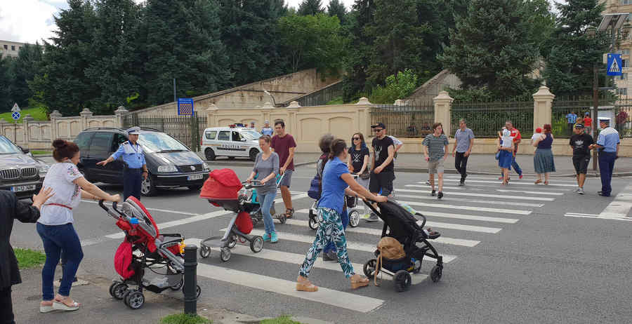 Protest cu bebeluşi la Palatului Parlamentului (foto)