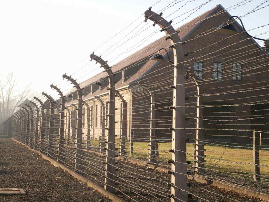 Acuzaţi că au încercat să fure cărămizi de la Auschwitz