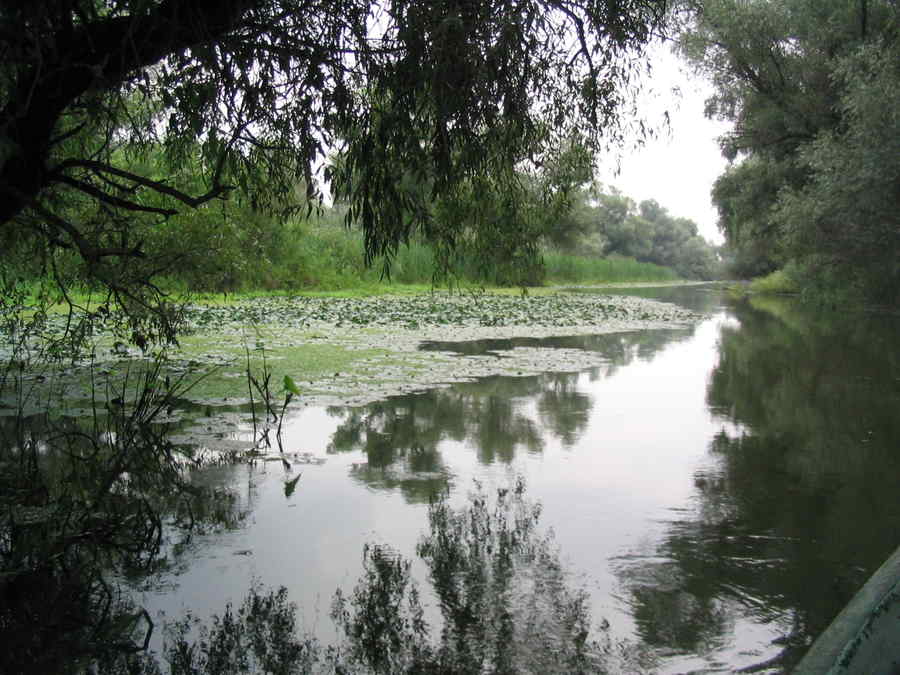 Omul românesc – identitate culturală şi spirituală…
