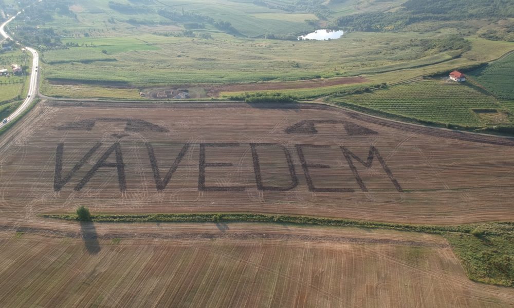 A plouat cu broaște peste sediul PSD