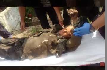 (VIDEO) Bătrână salvată de un pompier aflat în concediu