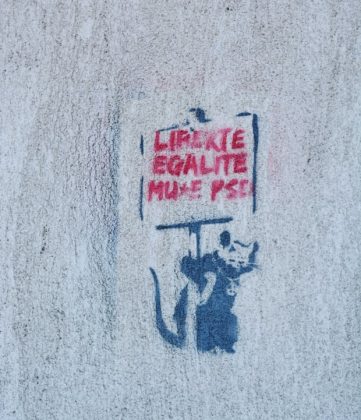 Sedii PSD vandalizate