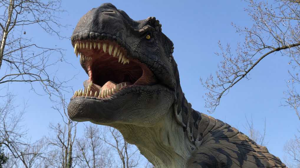 Hațeg: regatul uriașilor pitici