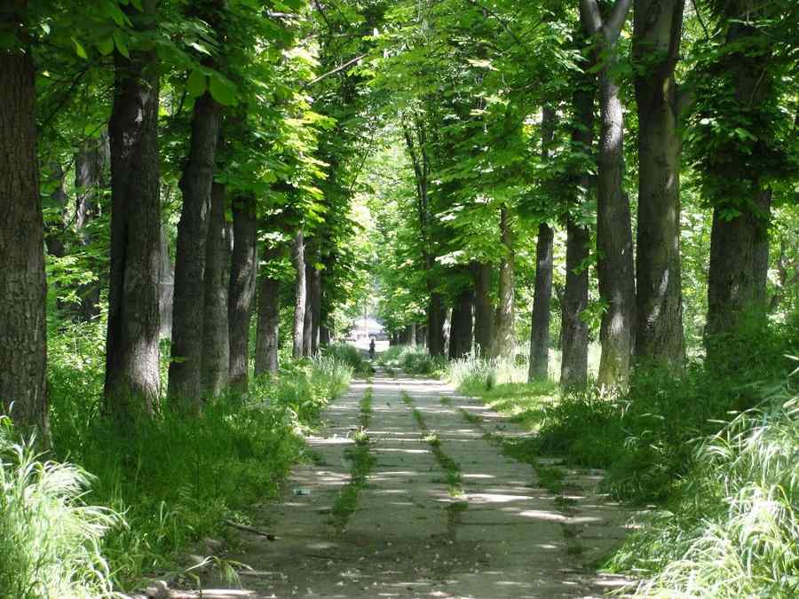 Vezi ce ne mai așteaptă