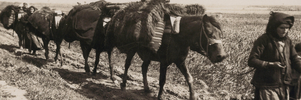 Vrei să vizitezi „Muzeul Românilor de Pretutindeni”? Dă click!