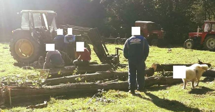 Jandarmii au blurat faţa unui câine