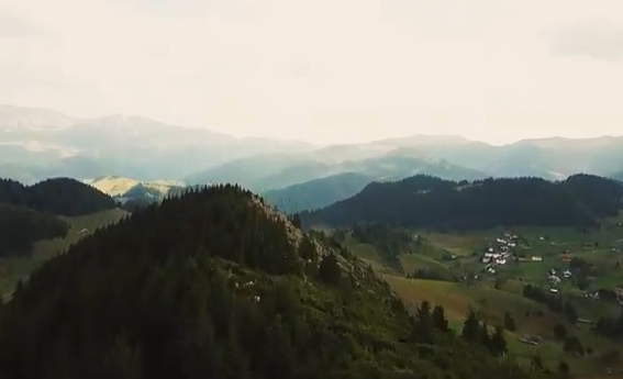 Gînduri pe un drum de țară