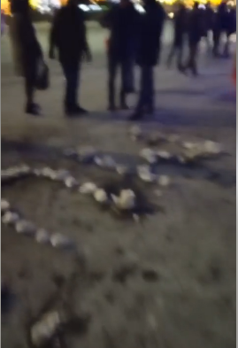 (VIDEO) #Rezist la ușa lui Dăncilă