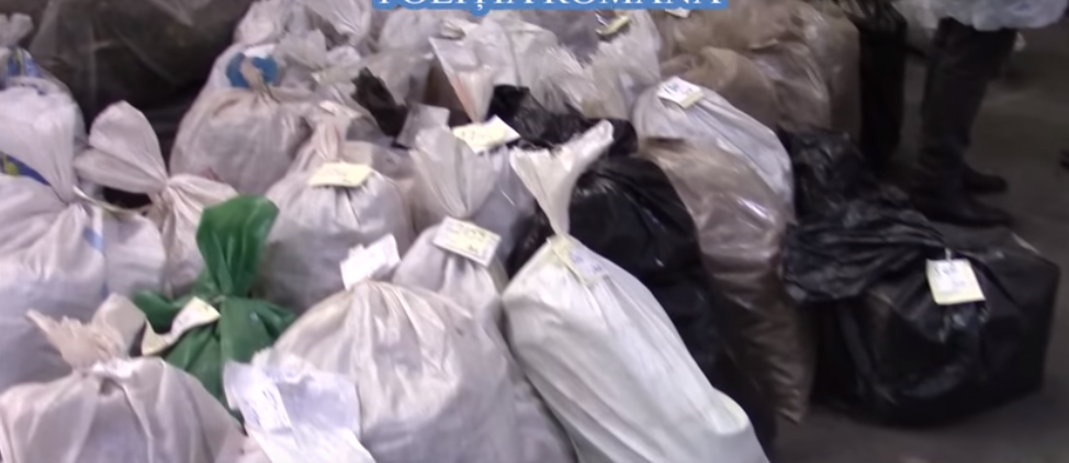 (VIDEO) Ce captură!
