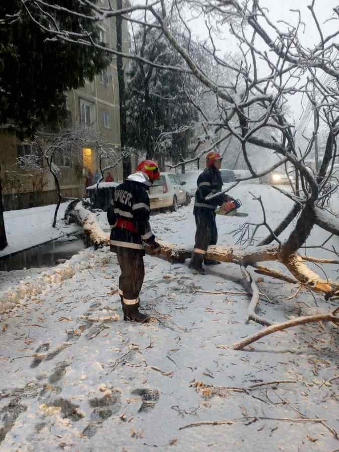 Iarna la noi: A nins cu copaci și stâlpi