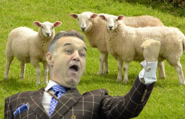 Umilință pentru Becali: „A părut un meci între seniori și juniori”