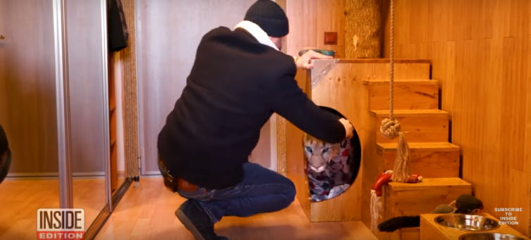 (VIDEO) De senzație: Ei doi și-o pumă