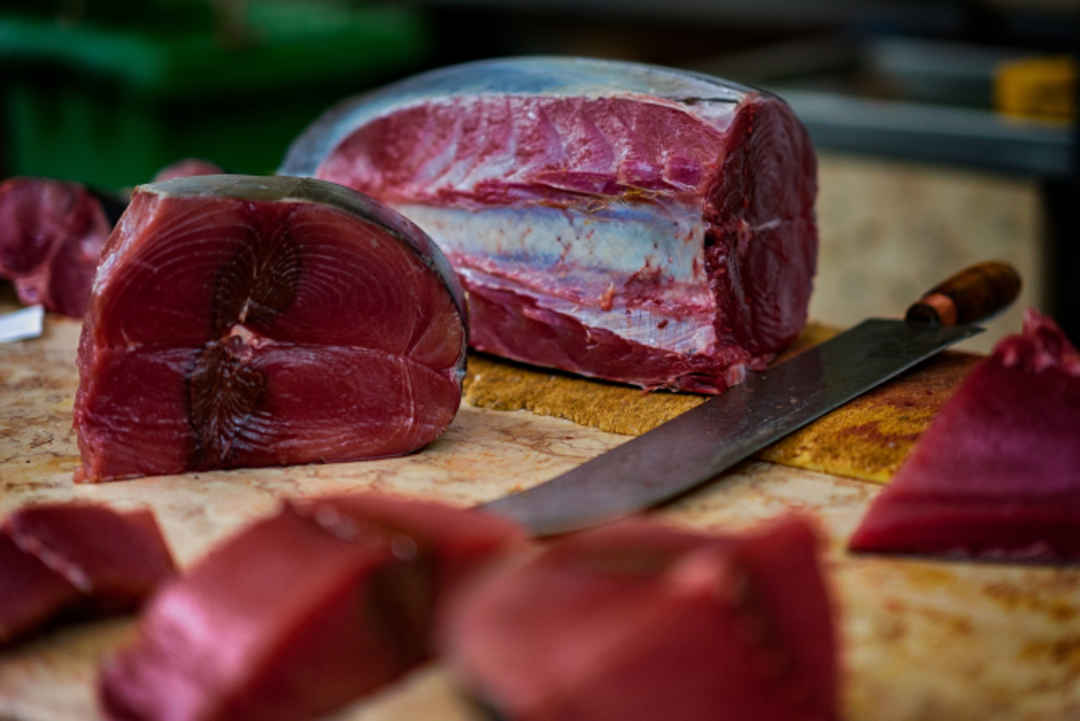 Record. Un pește a fost vândut la o sumă fabuloasă (FOTO TEXT)