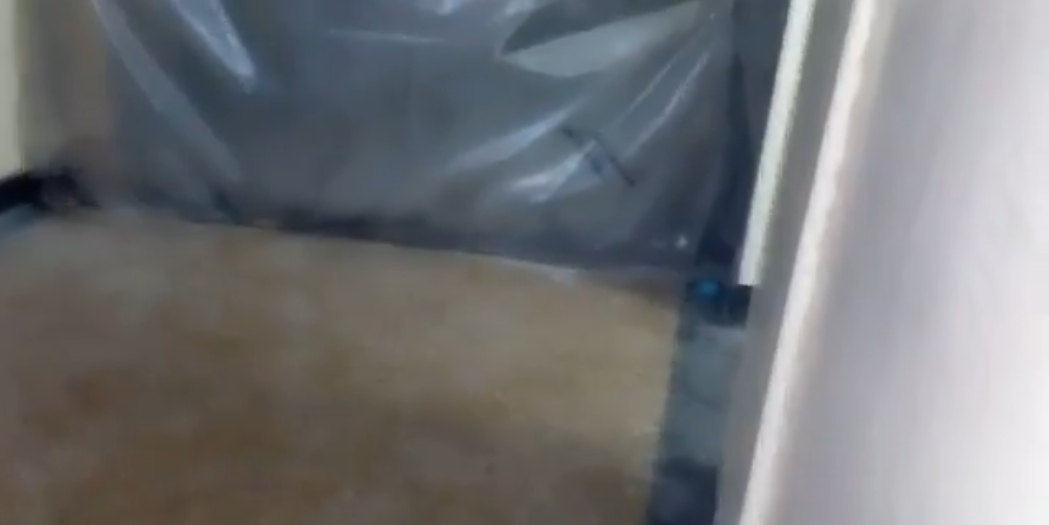 (VIDEO) Studenții, la comun cu șoarecii și gândacii