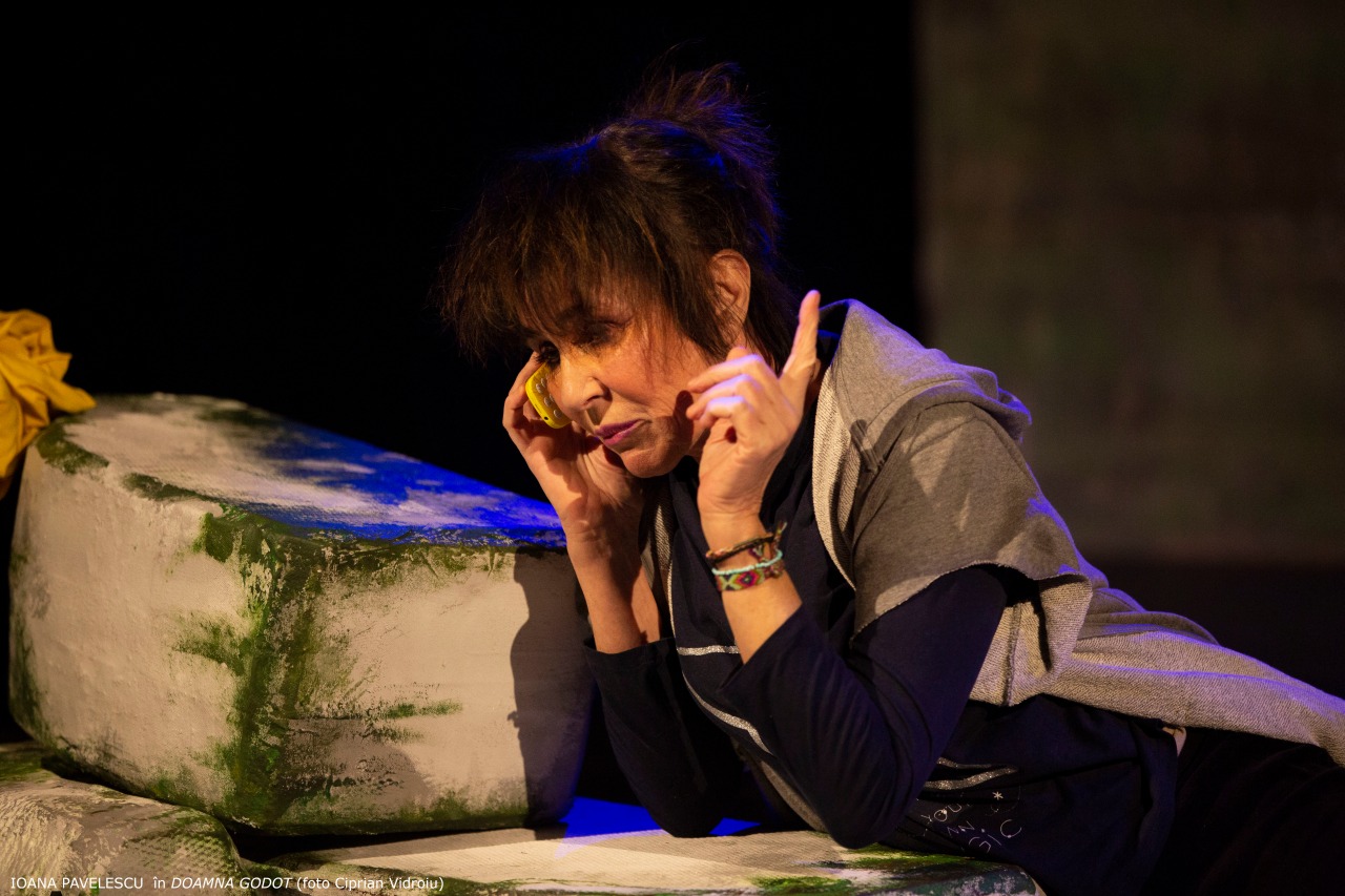 Premieră oficială Doamna Godot de Olga Delia Mateescu
