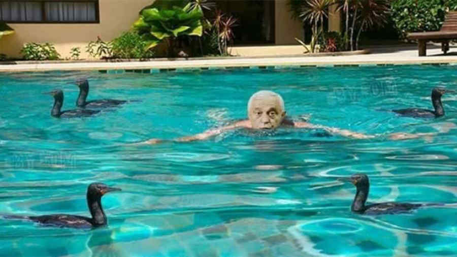 Lui Daea îi vine să intre îmbrăcat în apă! Vezi motivul!