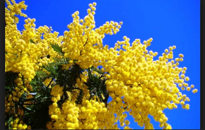 Cărţi despre femei frumoase, puternice, curajoase