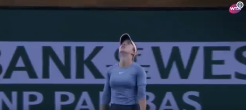 Elina Svitolina, în lacrimi: Ajutați-ne!