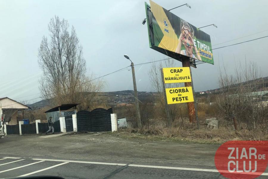 Au apărut deja panouri electorale