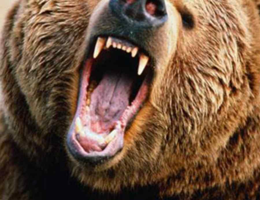 Întâmplare de groază în Harghita