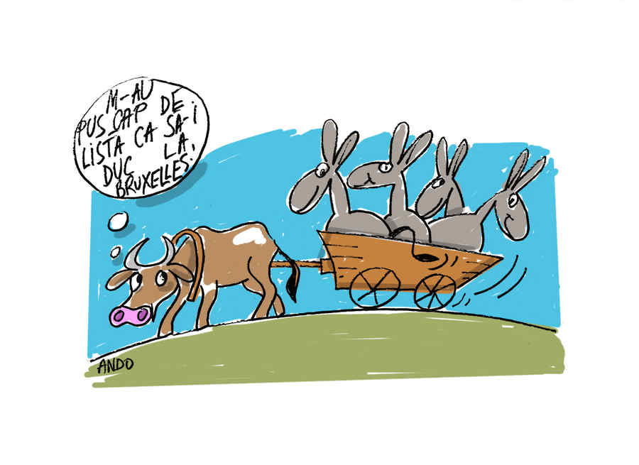 Candidatura de tracțiune