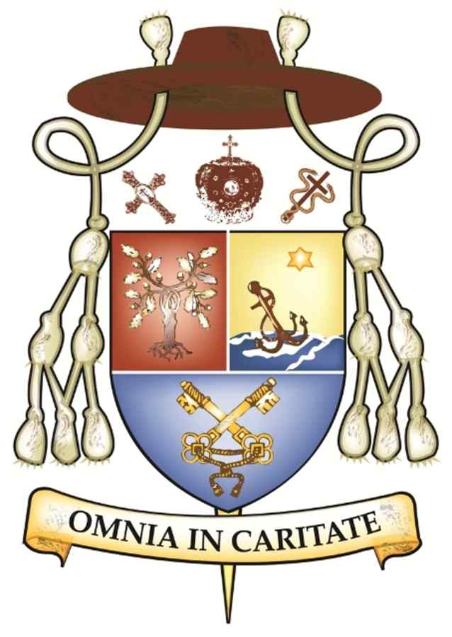 Un candidat PSD plătește pentru alegerile sale