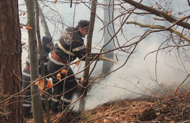 Incendiu de pădure în Hunedoara